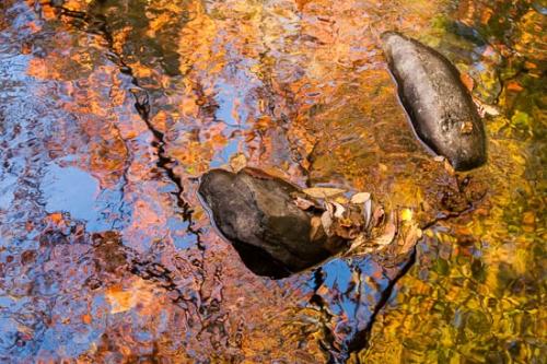 Abstract;Abstraction;Autumn;Blue;Close-up;Fall;Gold;Great Smoky Mountains National Park;Green;Lake;Line;Mirror;Oneness;Orange;Oriental;Pastoral;Pattern;Peaceful;Red;Reflection;Reflections;River;Rock;Rocks;Seasons;Shape;Stone;Stones;Stream;Tan;Tennessee;Texture;United States;Wabi Sabi;Water;Yellow;zen